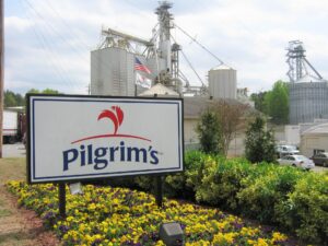 Pilgrims Pride Planta